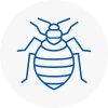 Bed Bug Extermination In Maghull
