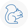 Maghull Rodent Removals